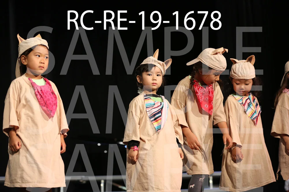 RC-RE-19-1678.jpg