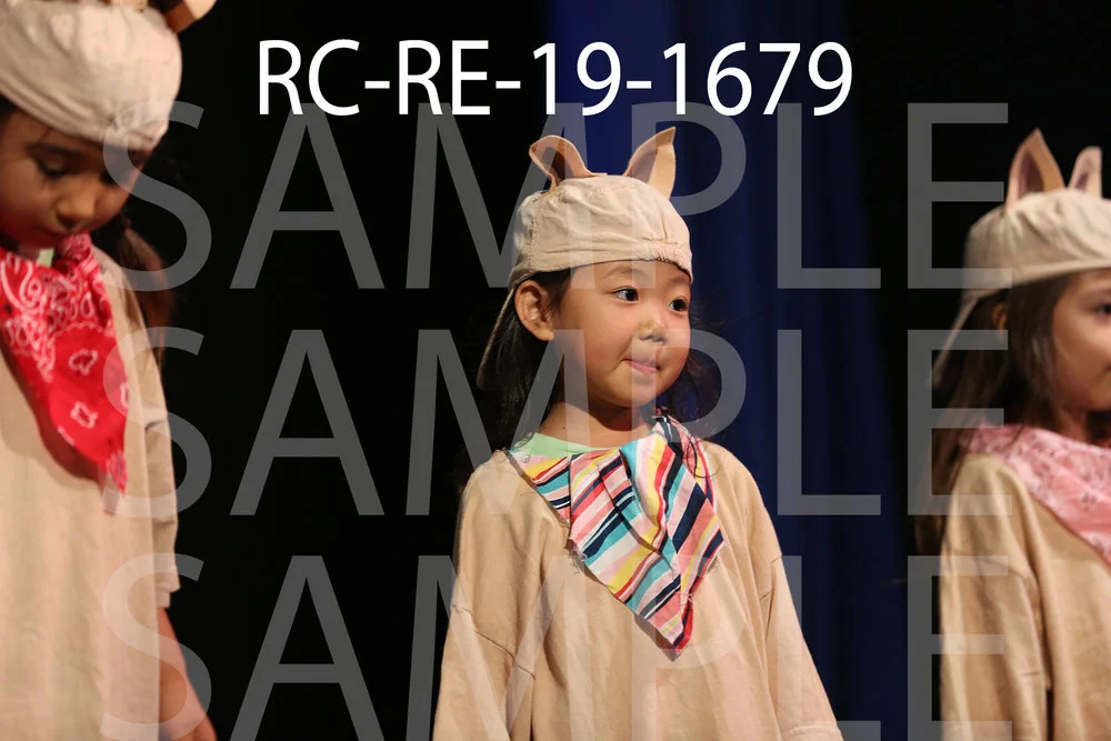 RC-RE-19-1679.jpg