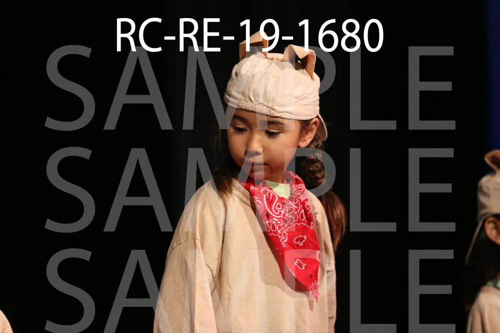 RC-RE-19-1680.jpg