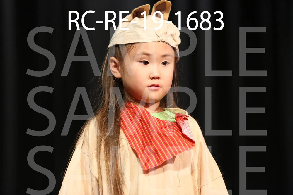 RC-RE-19-1683.jpg