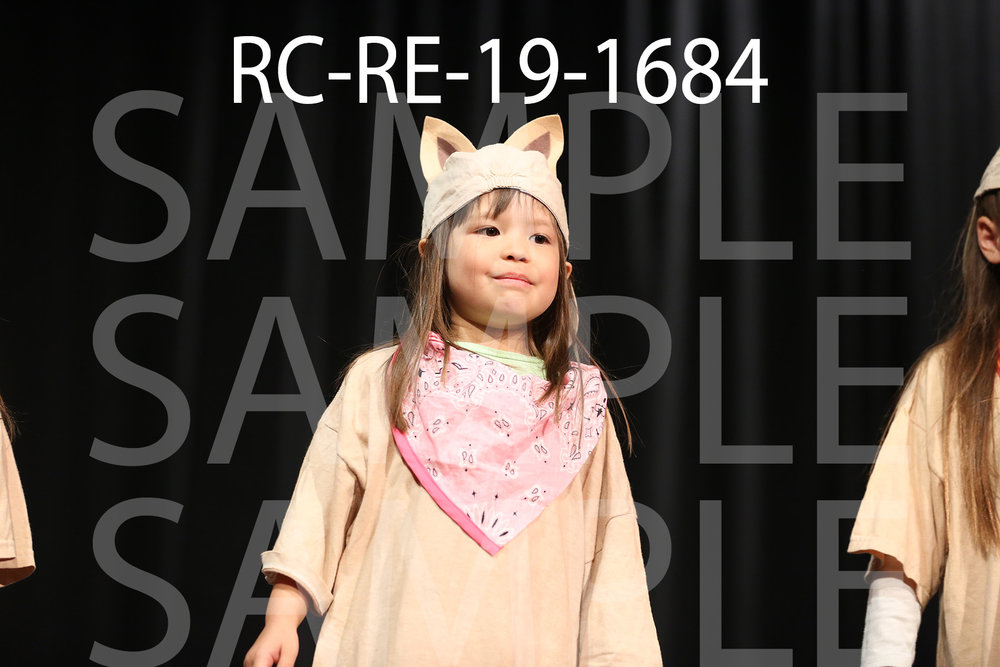 RC-RE-19-1684.jpg