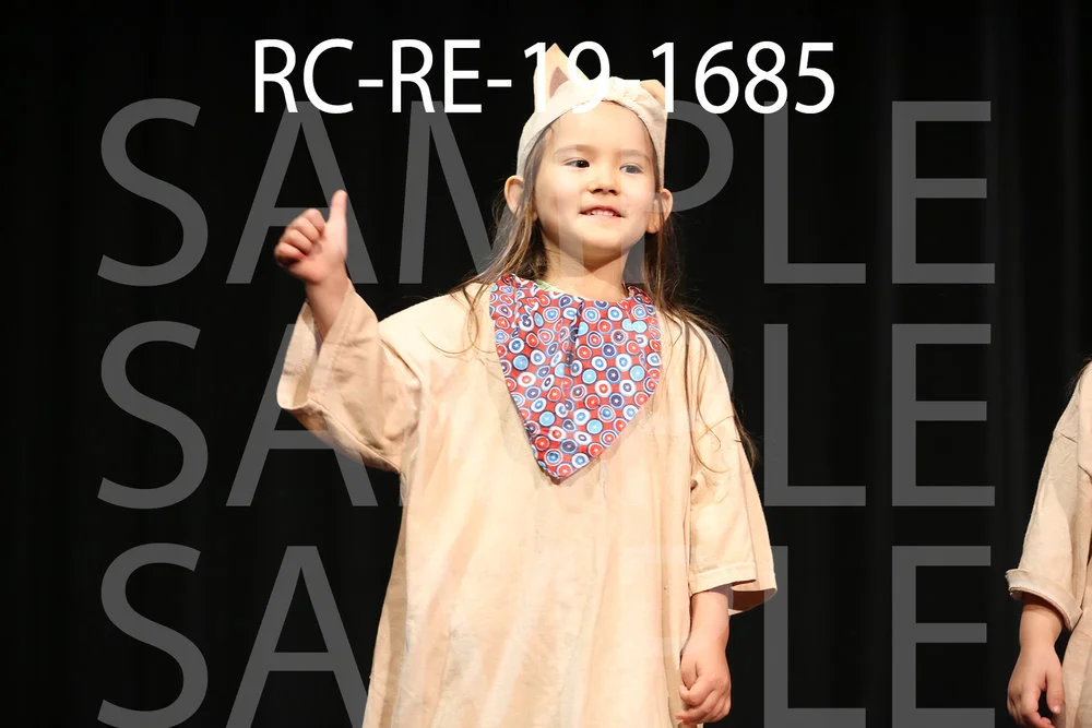 RC-RE-19-1685.jpg