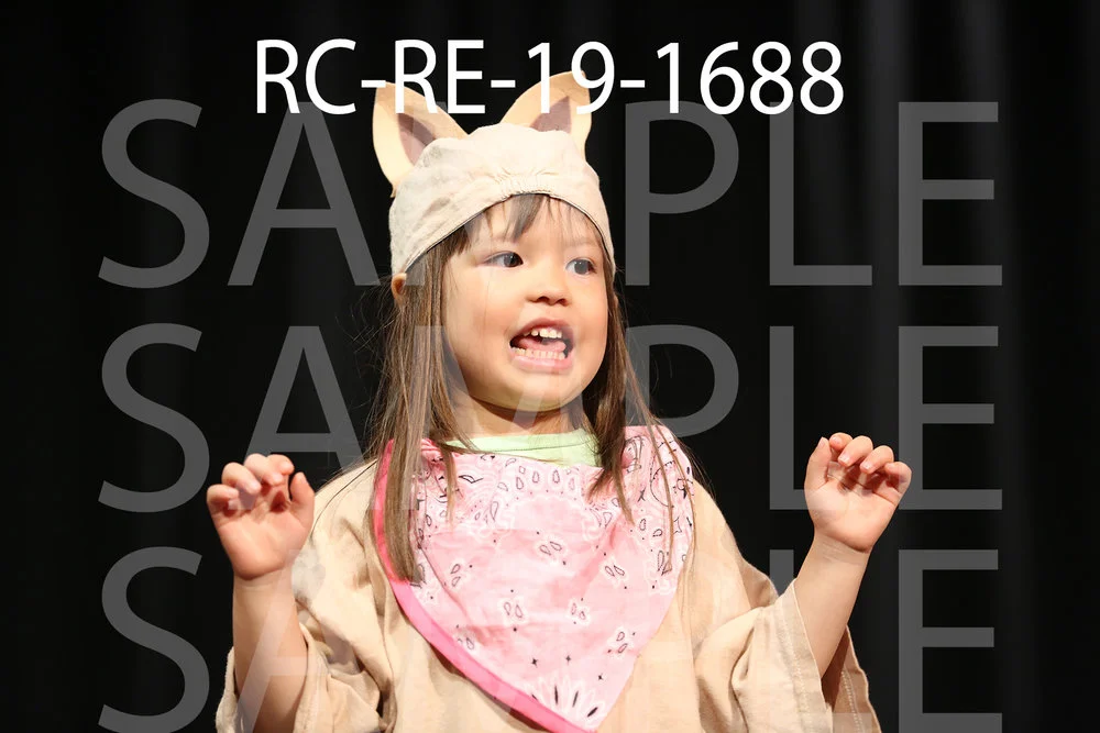 RC-RE-19-1688.jpg