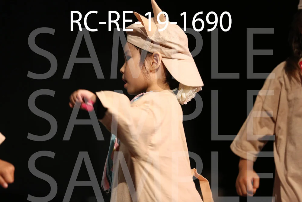 RC-RE-19-1690.jpg