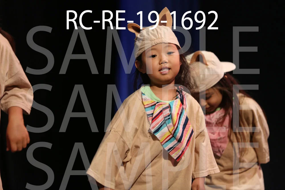 RC-RE-19-1692.jpg