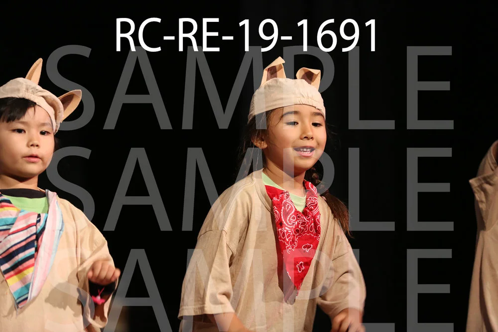 RC-RE-19-1691.jpg