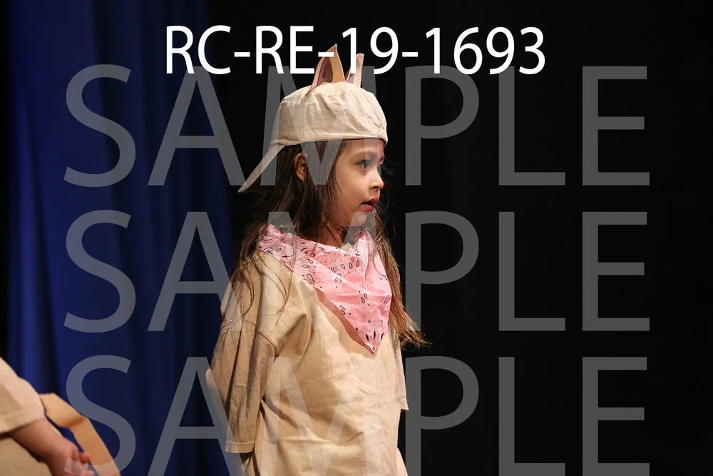 RC-RE-19-1693.jpg