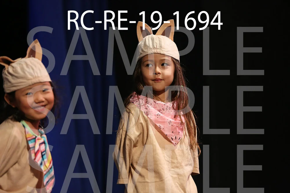 RC-RE-19-1694.jpg