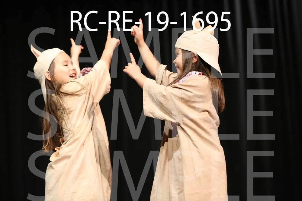 RC-RE-19-1695.jpg
