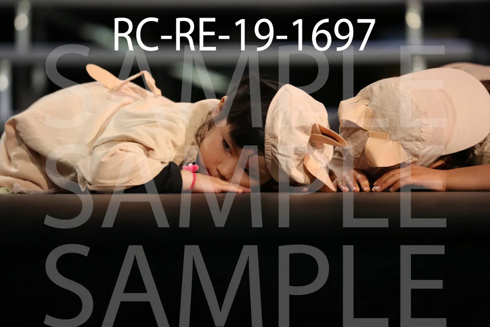 RC-RE-19-1697.jpg