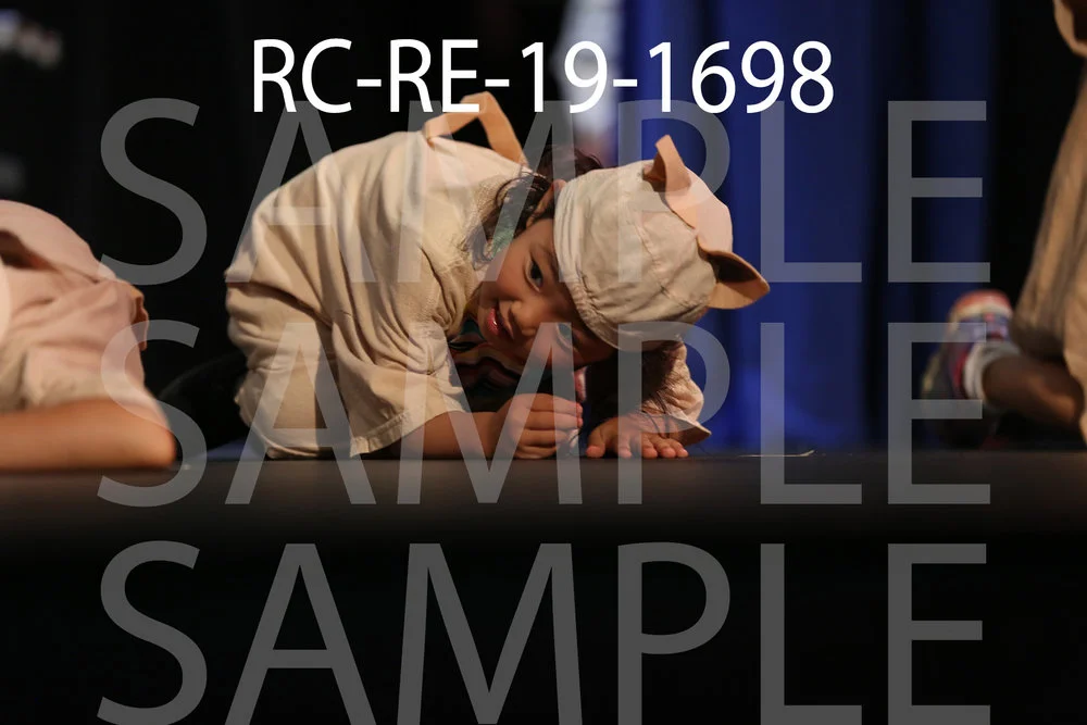 RC-RE-19-1698.jpg