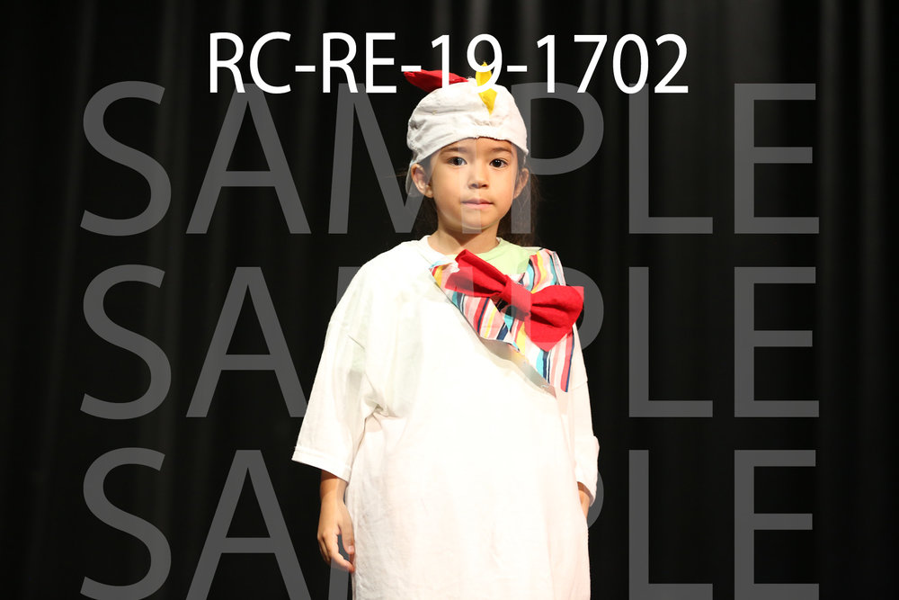 RC-RE-19-1702.jpg