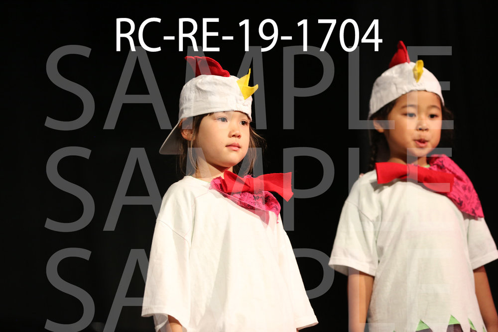 RC-RE-19-1704.jpg