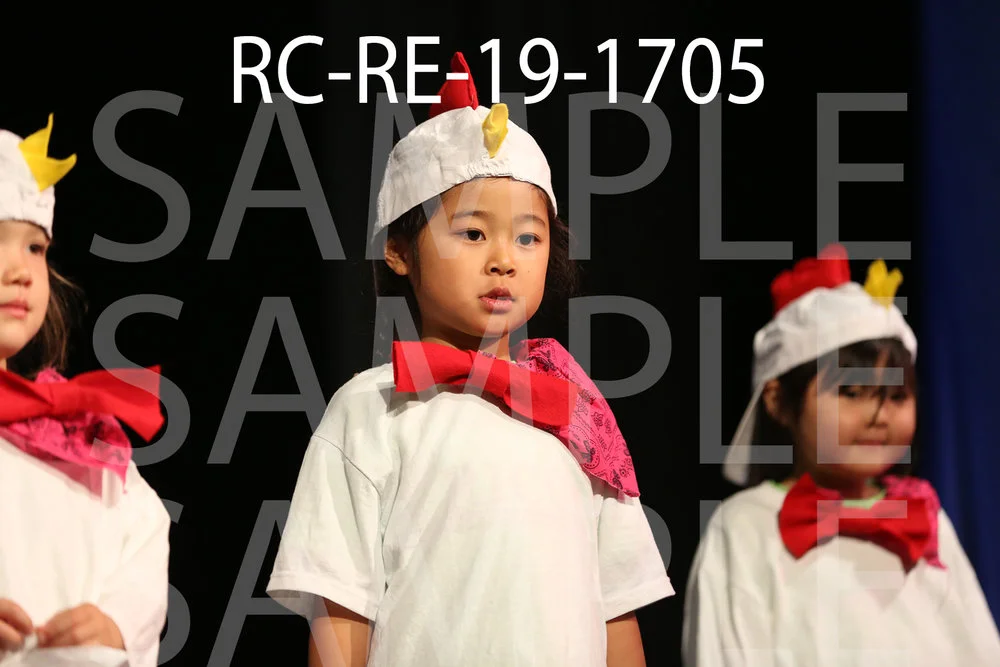 RC-RE-19-1705.jpg