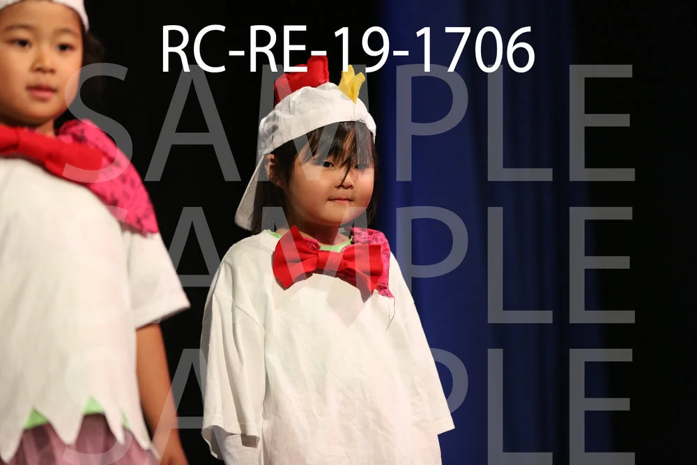 RC-RE-19-1706.jpg