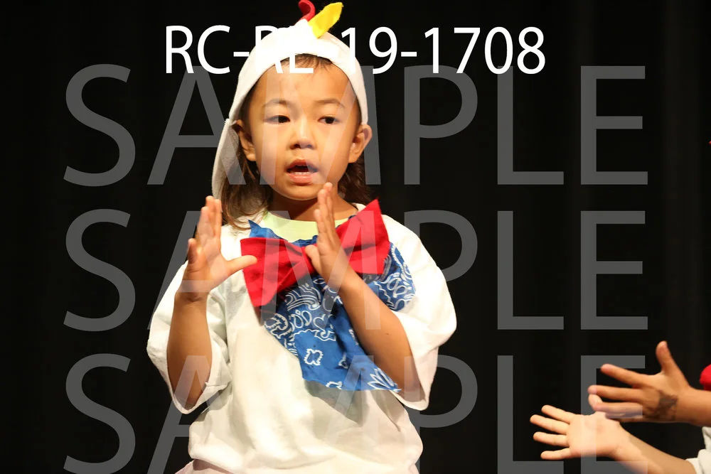 RC-RE-19-1708.jpg