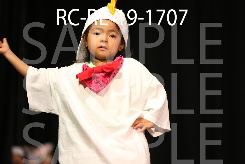 RC-RE-19-1707.jpg