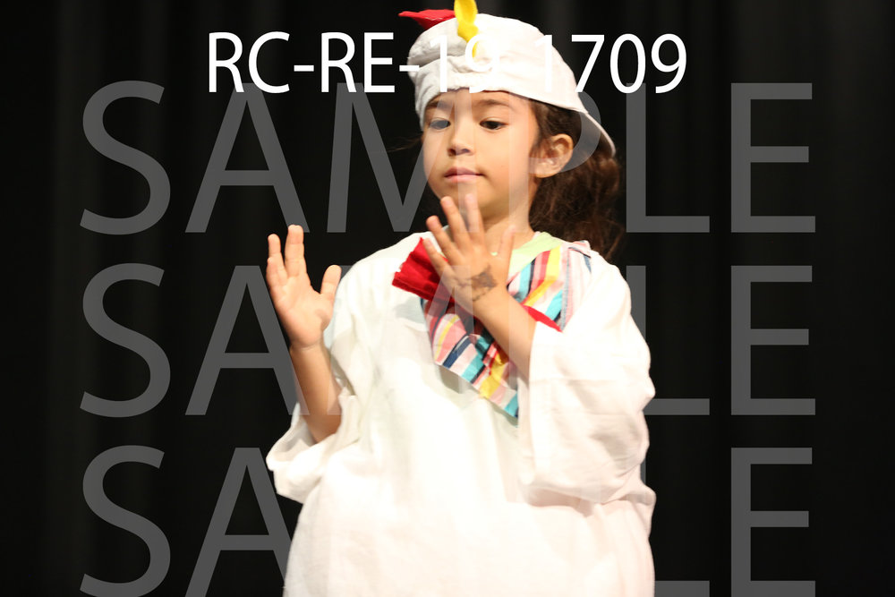 RC-RE-19-1709.jpg