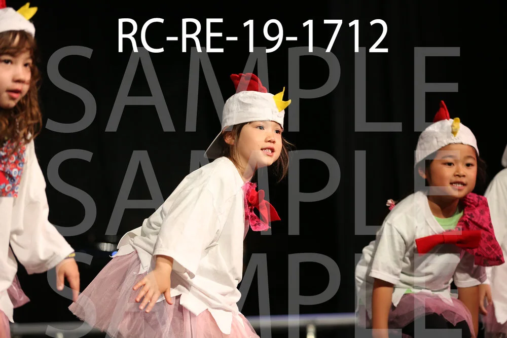RC-RE-19-1712.jpg