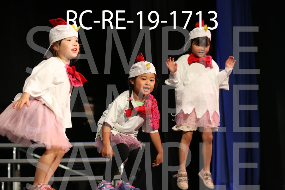 RC-RE-19-1713.jpg
