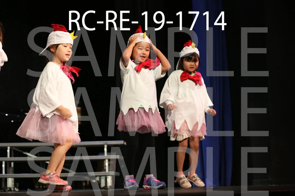 RC-RE-19-1714.jpg