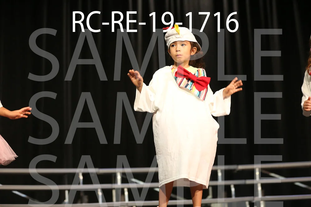 RC-RE-19-1716.jpg