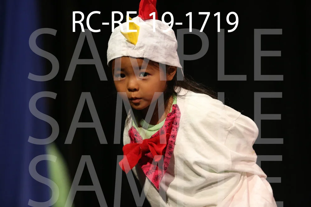 RC-RE-19-1719.jpg