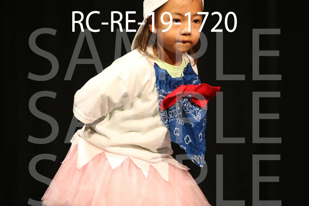 RC-RE-19-1720.jpg