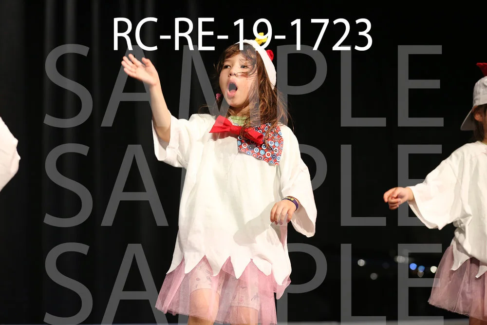 RC-RE-19-1723.jpg