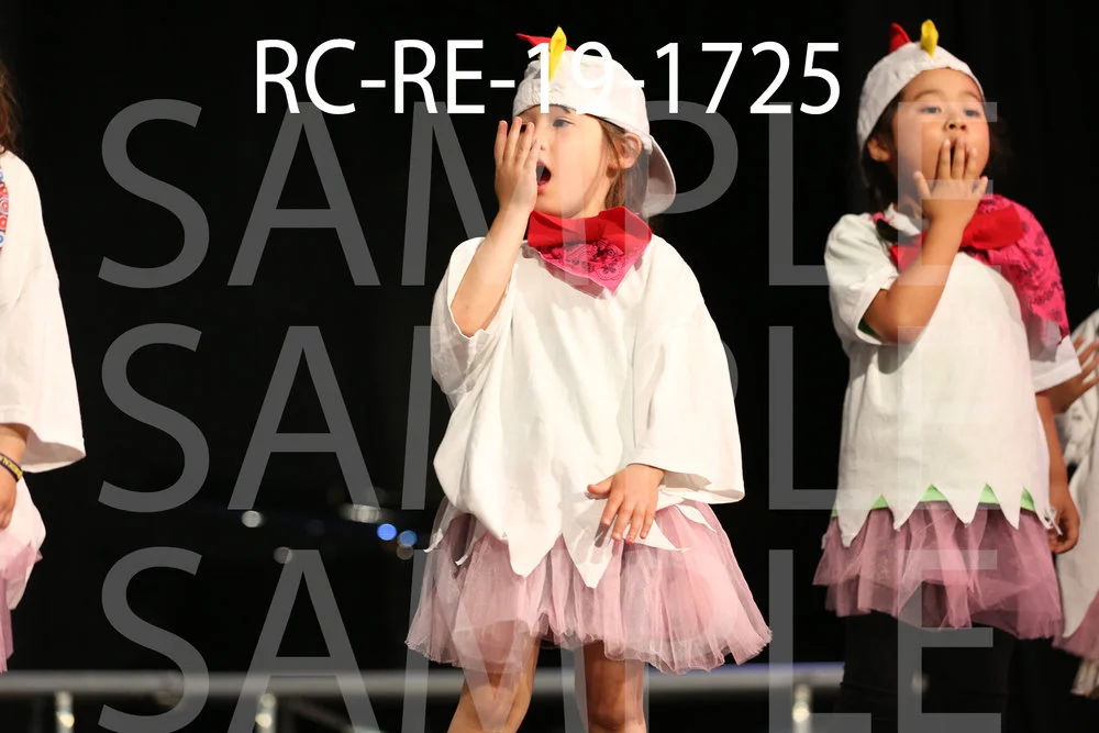 RC-RE-19-1725.jpg