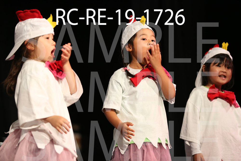 RC-RE-19-1726.jpg