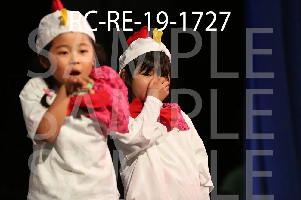 RC-RE-19-1727.jpg