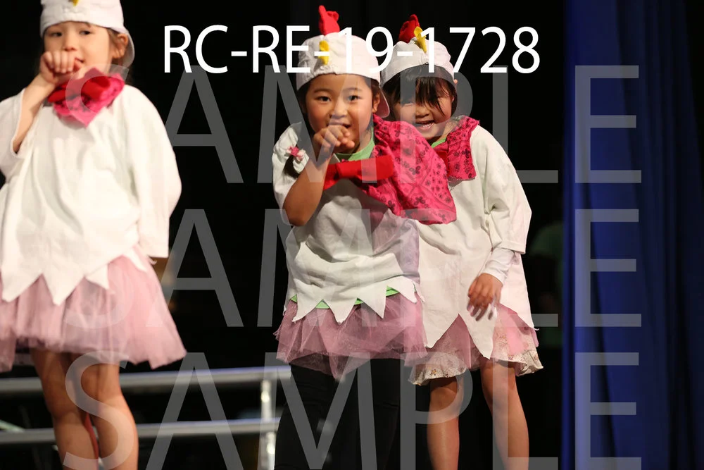 RC-RE-19-1728.jpg