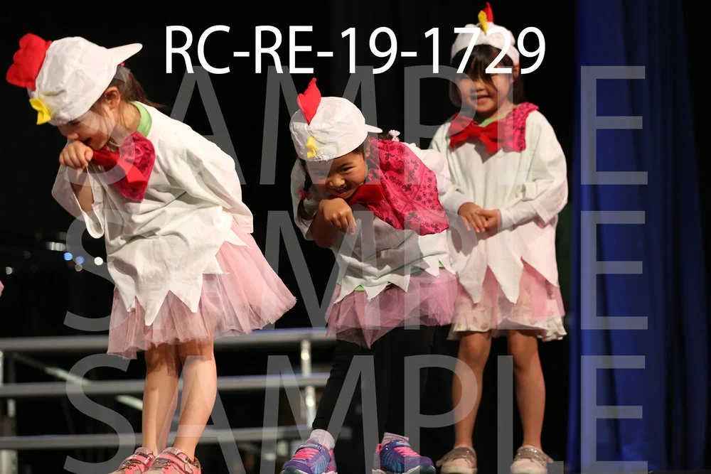 RC-RE-19-1729.jpg
