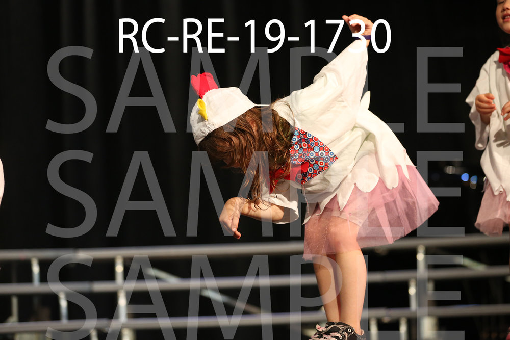 RC-RE-19-1730.jpg