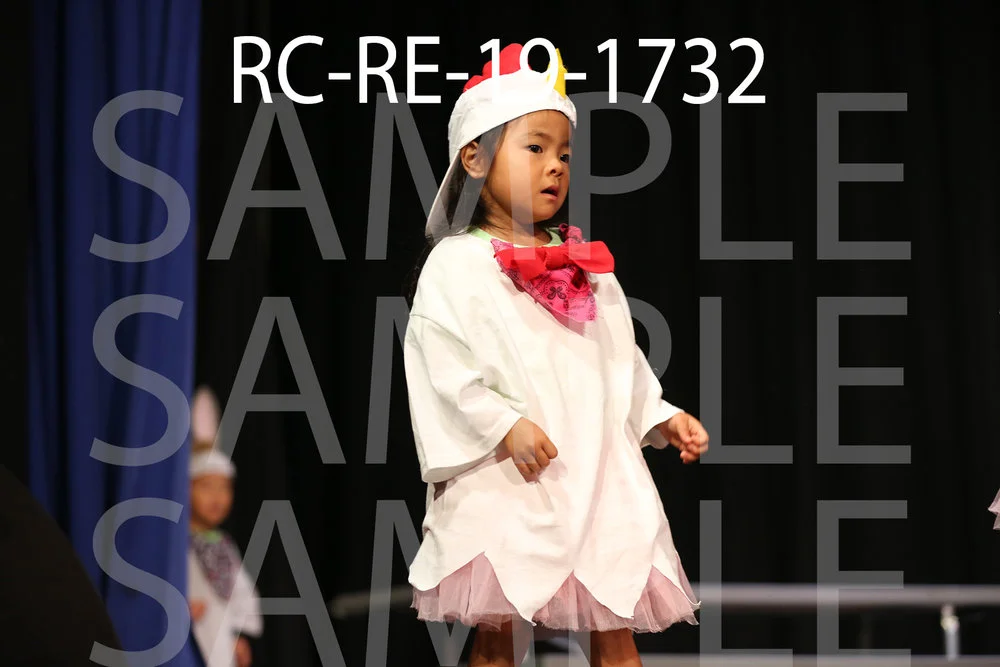 RC-RE-19-1732.jpg
