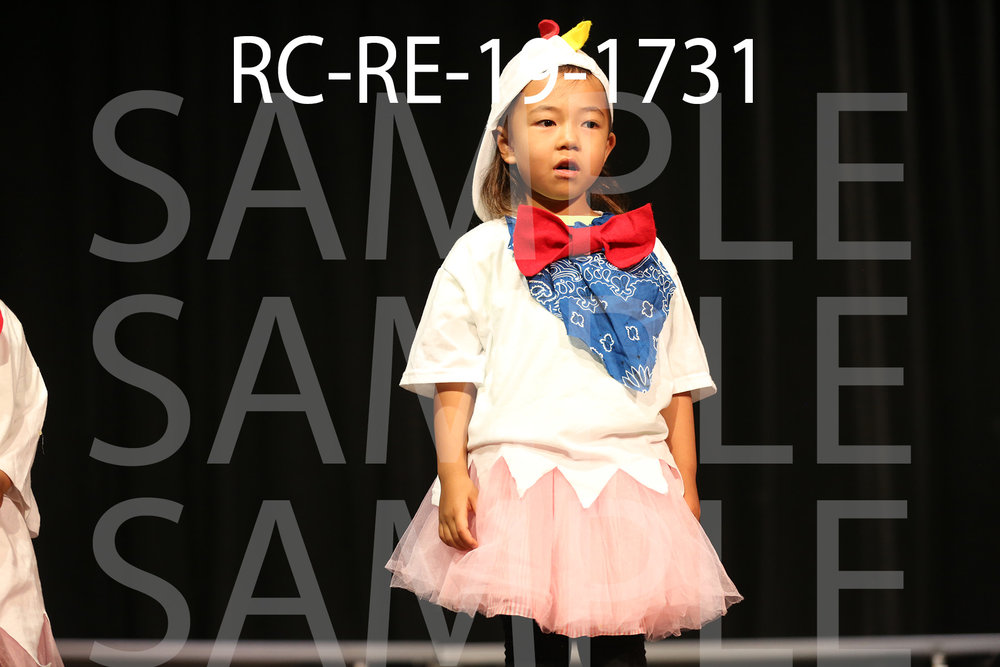 RC-RE-19-1731.jpg