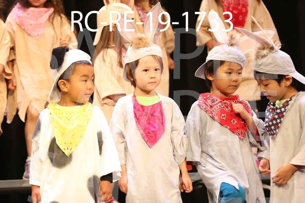 RC-RE-19-1733.jpg