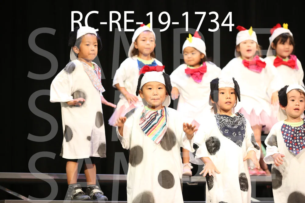 RC-RE-19-1734.jpg