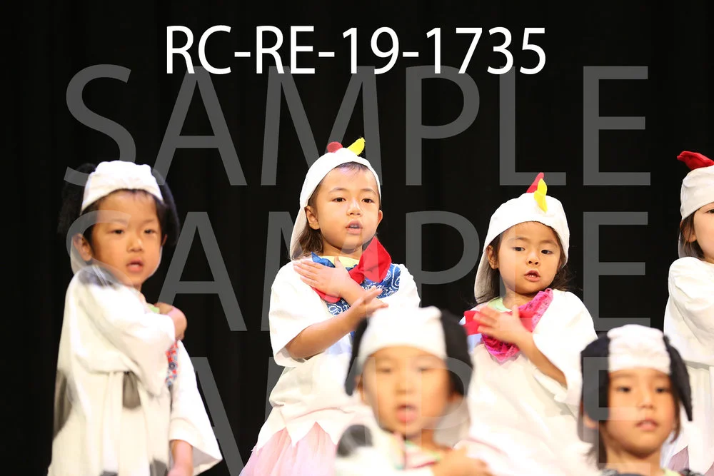 RC-RE-19-1735.jpg