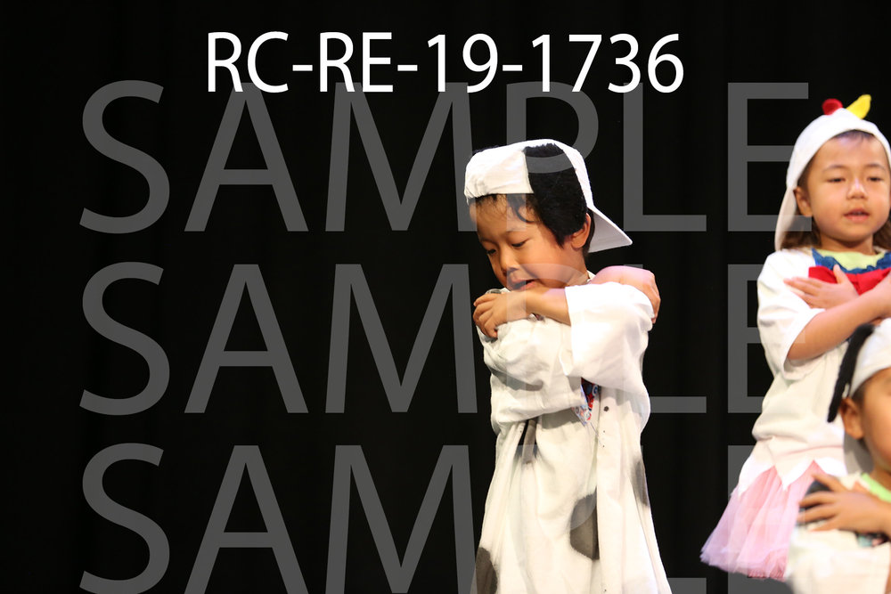 RC-RE-19-1736.jpg