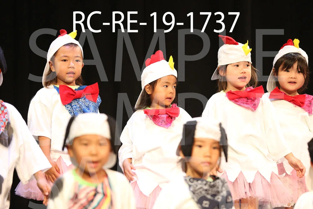 RC-RE-19-1737.jpg