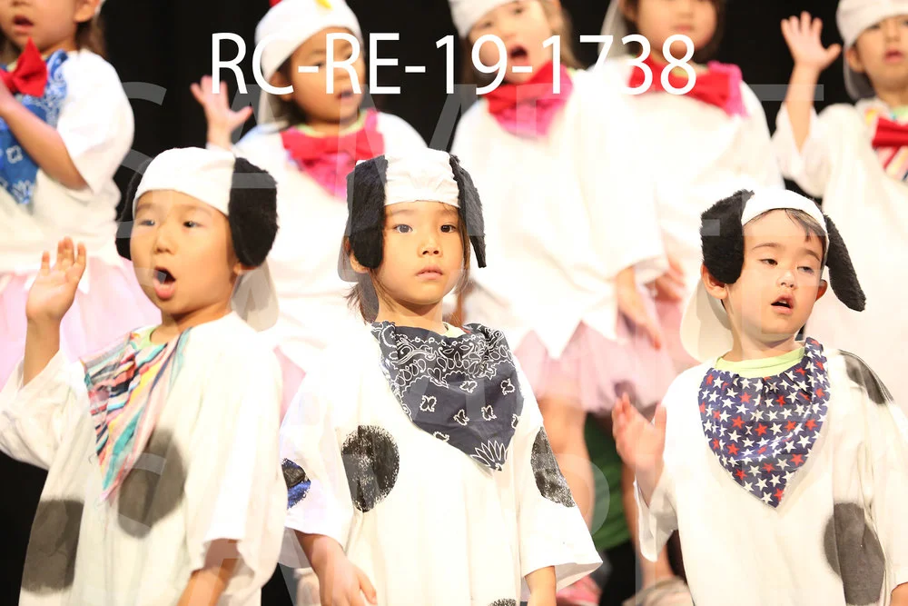RC-RE-19-1738.jpg