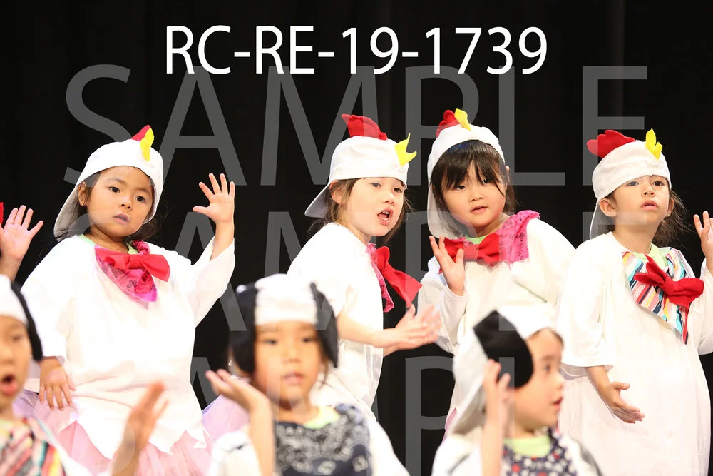 RC-RE-19-1739.jpg