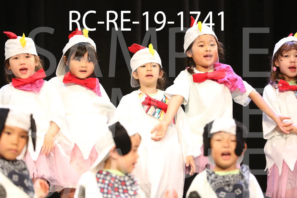 RC-RE-19-1741.jpg