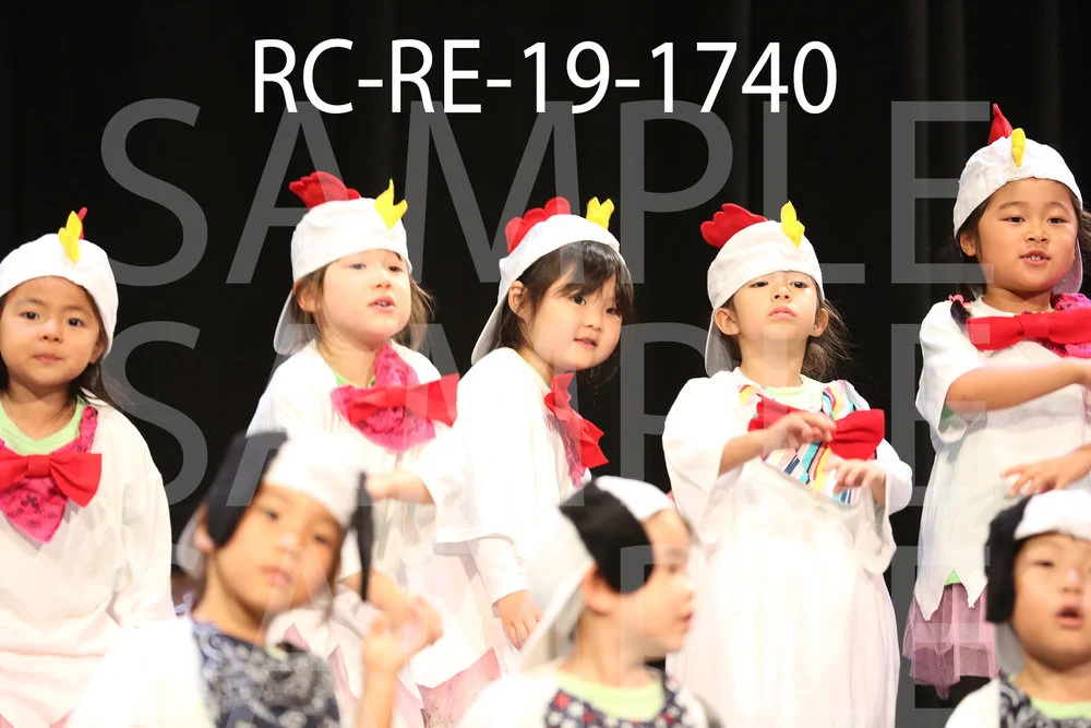 RC-RE-19-1740.jpg