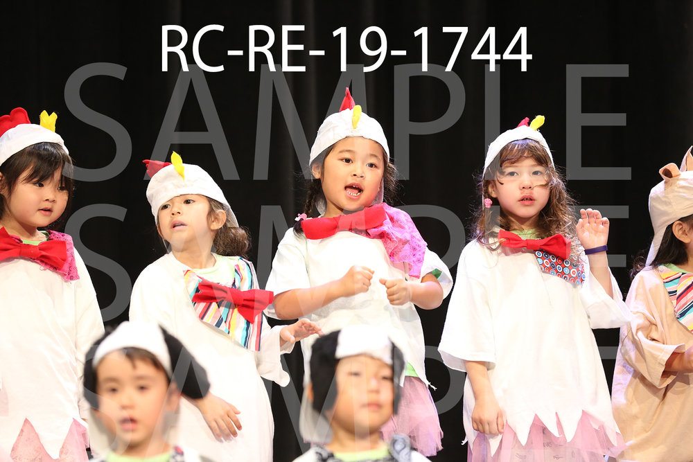 RC-RE-19-1744.jpg