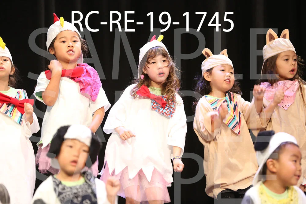 RC-RE-19-1745.jpg