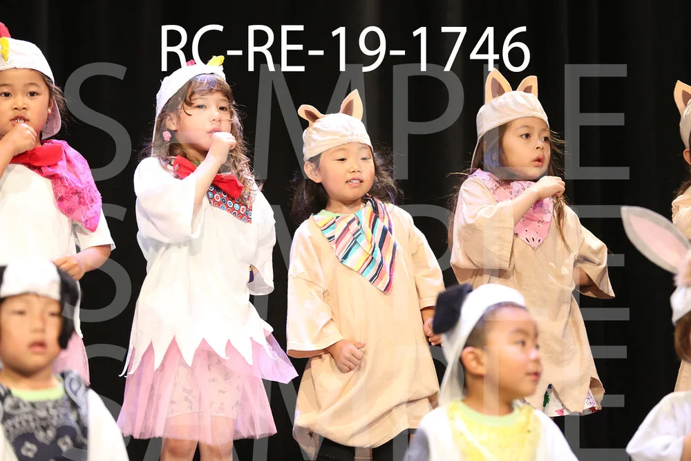 RC-RE-19-1746.jpg