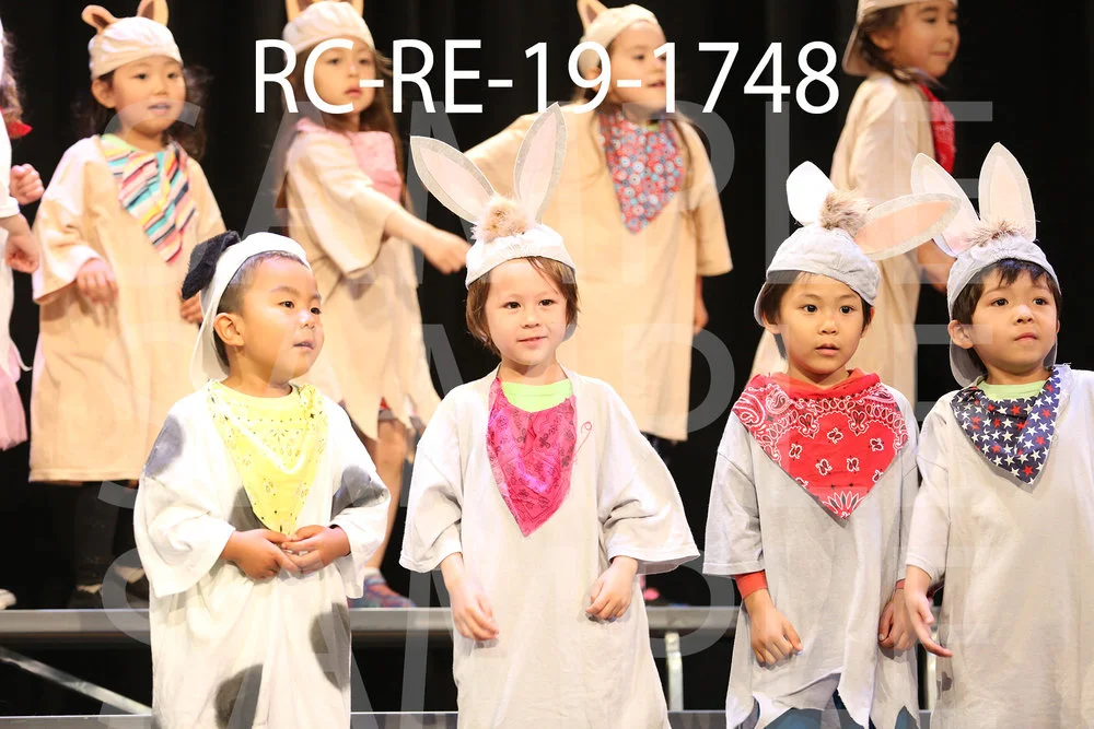 RC-RE-19-1748.jpg